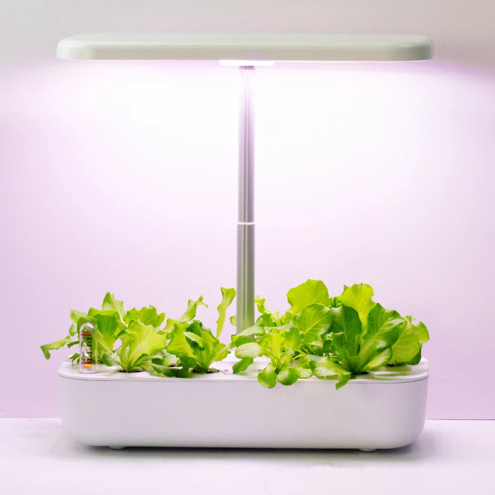 Hydroponic Growing System for Home, LED Grow Light, Indoor Gardening