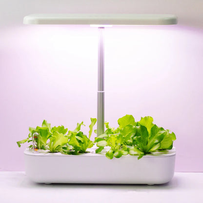 Hydroponic Growing System for Home, LED Grow Light, Indoor Gardening