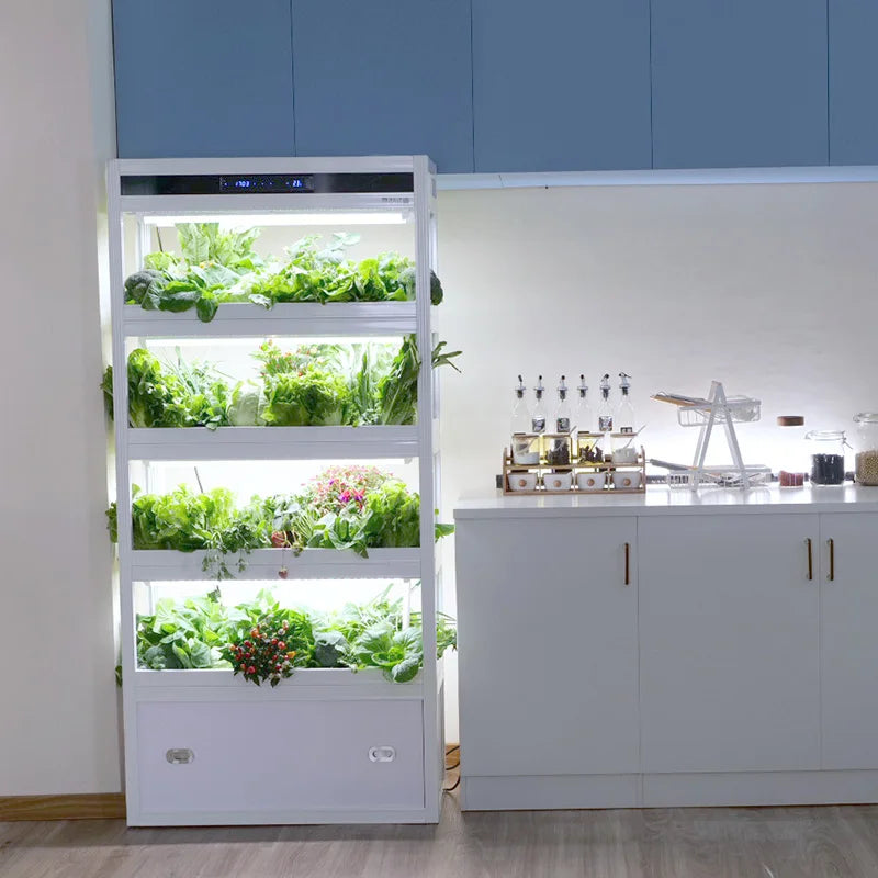 Indoor intelligent hydroponics multi-layer cabinet