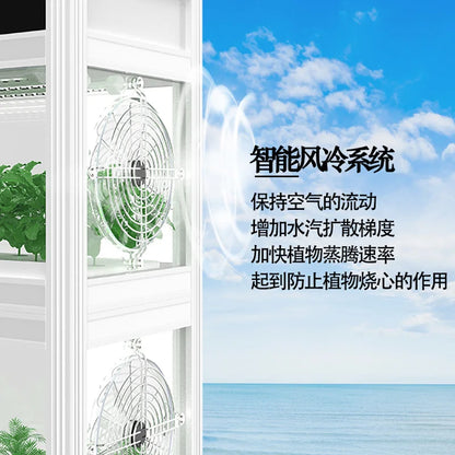 Indoor intelligent hydroponics multi-layer cabinet