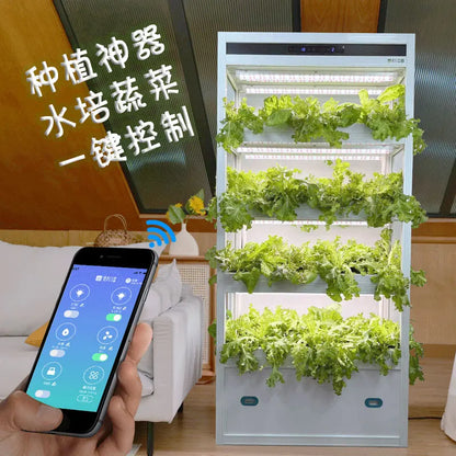 Indoor intelligent hydroponics multi-layer cabinet