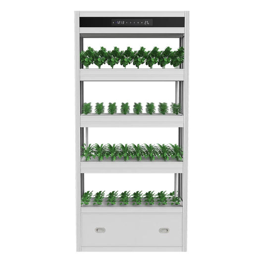 Indoor intelligent hydroponics multi-layer cabinet