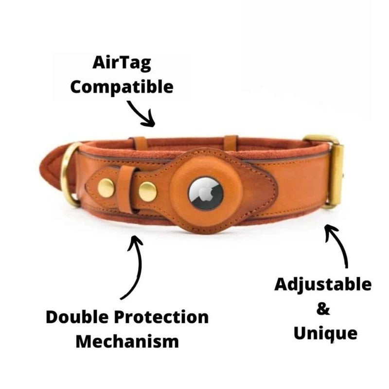 JoyfulHealthCo - Airtag Dog Collar